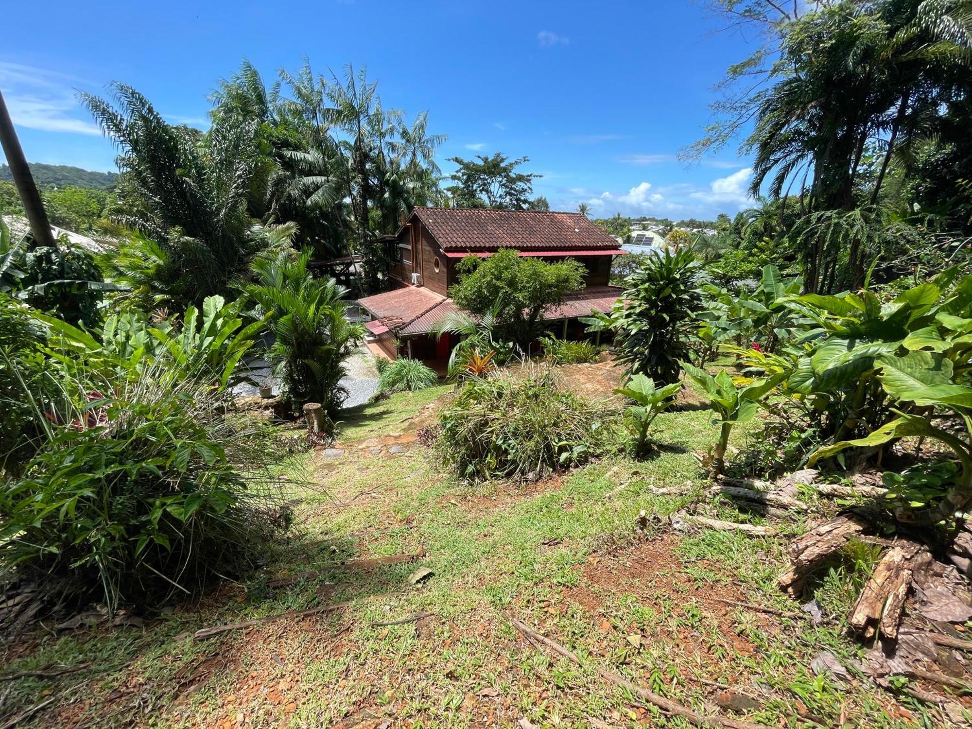 Apartamento Ti Kaz Dan Bwa Cayenne Exterior foto
