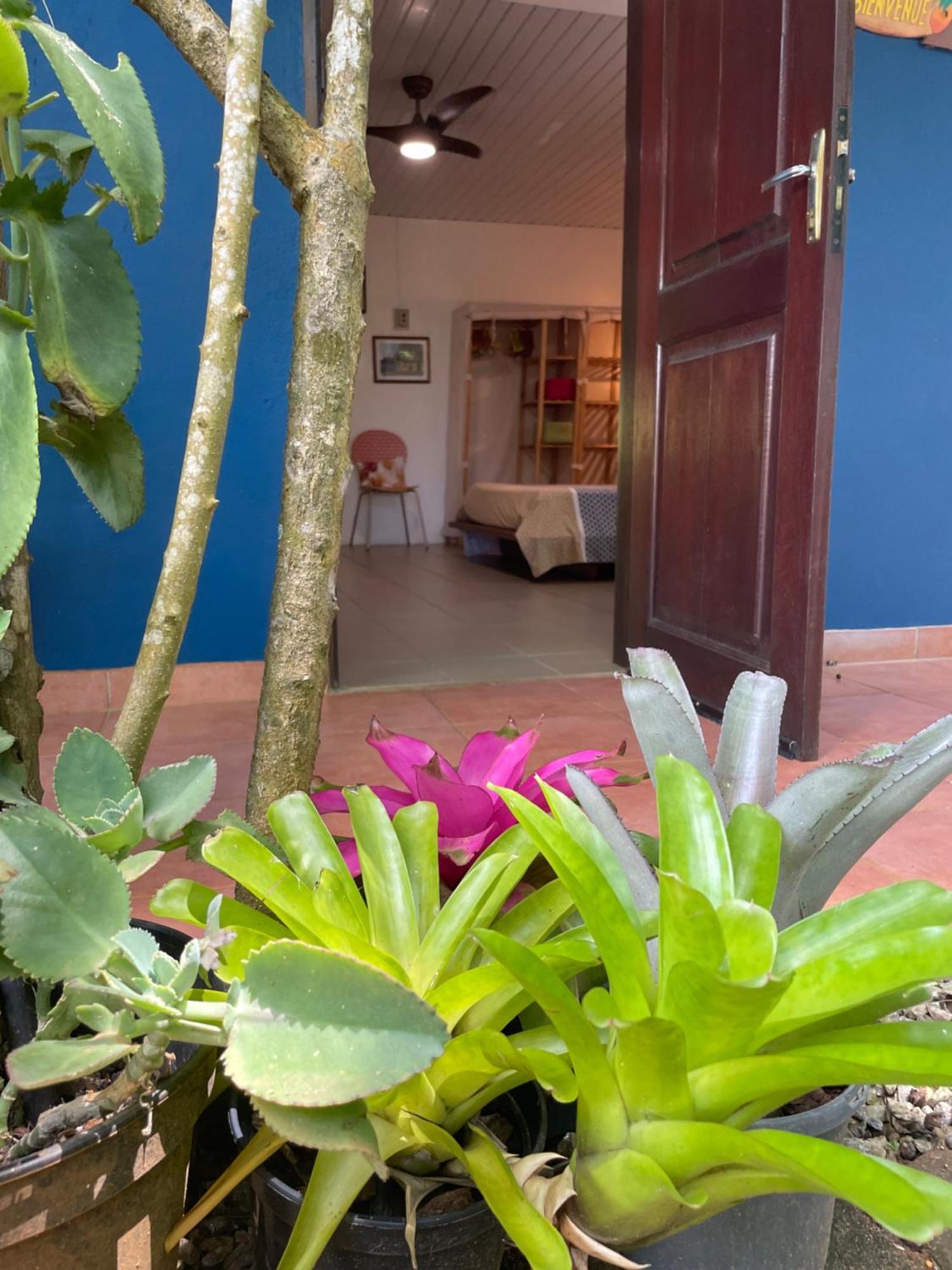 Apartamento Ti Kaz Dan Bwa Cayenne Exterior foto